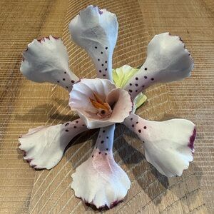 Vintage Nuova CAPODIMONTE Flower Orchid by F.lli Savastano Made in Italy No Chip